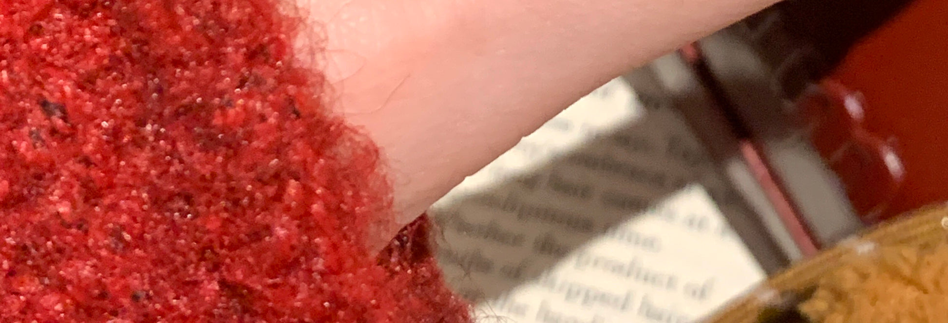 4e343a15-97d0-43d2-a8d9-e02921a8a26c